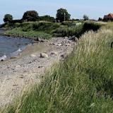 1307G 146 Fehmarn Oststrand